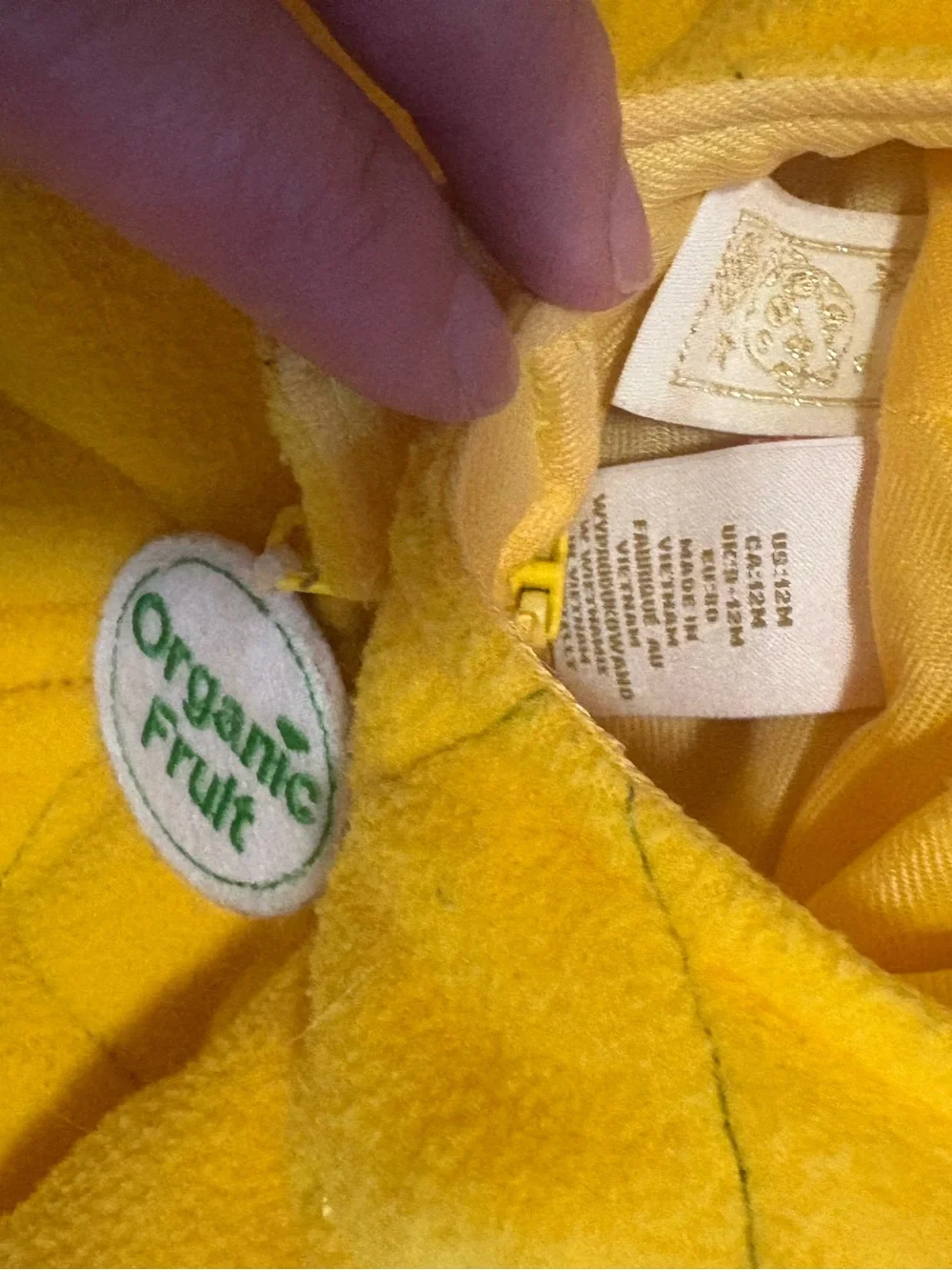 N/A pineapple costume